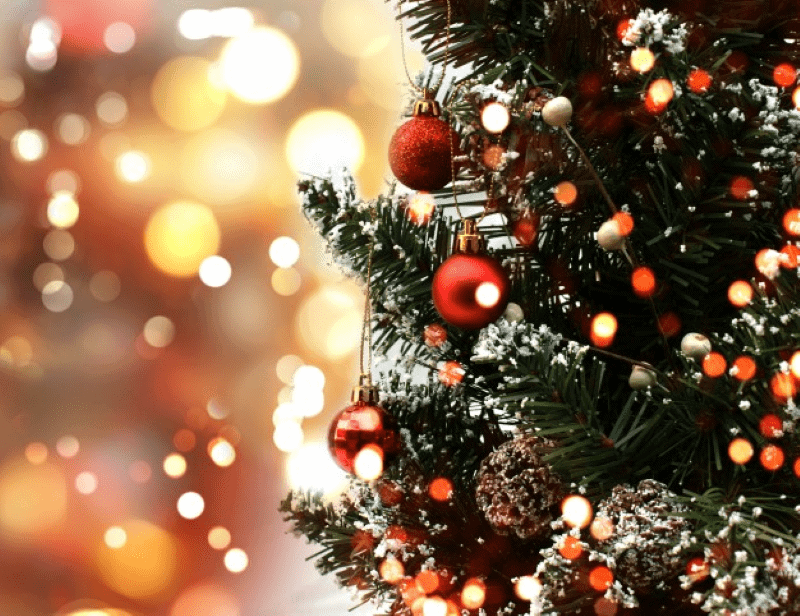 Make a Statement This Holiday Season: Tips for Choosing the Right Flocked Artificial Christmas Tree