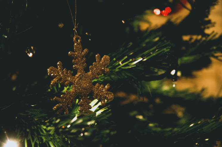 Christmas Tree Clearance: Your Guide